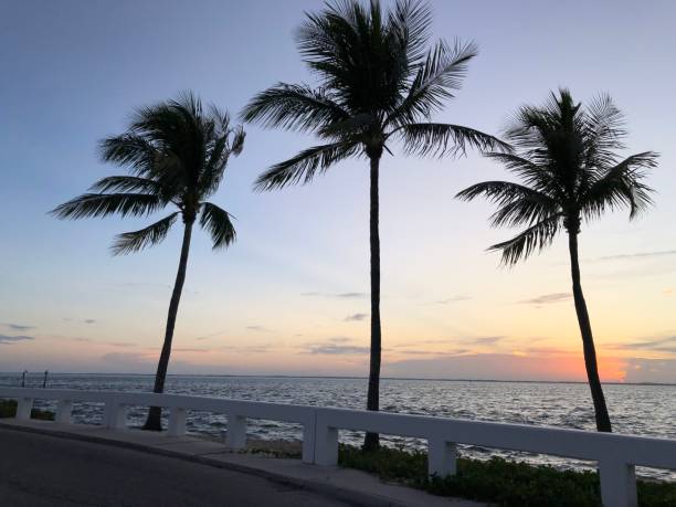 istock Sunrise // Captiva Island, FL 1163147290