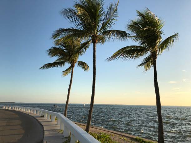 istock Sunrise // Captiva Island, FL 1163147292