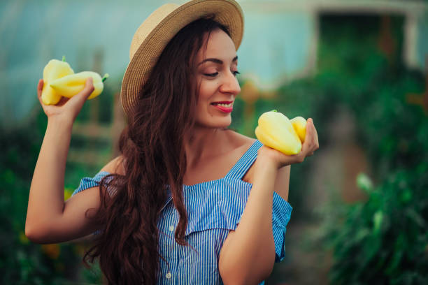 istock Female Gardener Picking Fresh Organic 1163147326
