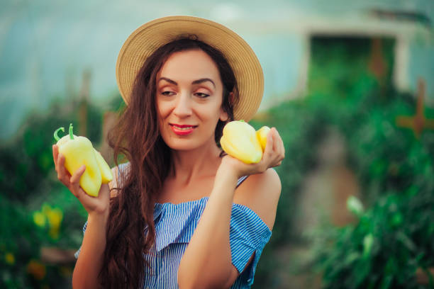 istock Female Gardener Picking Fresh Organic 1163150339
