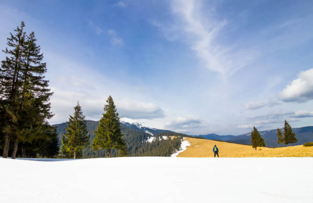 hombre solitario en las montañas de pie cerca de pinos en el brillante día de invierno - piny fotografías e imágenes de stock