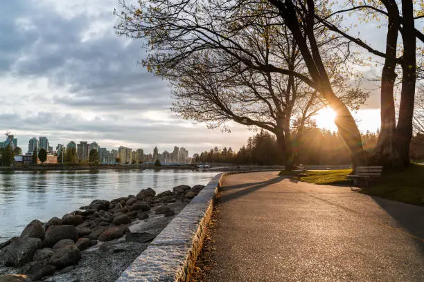 The Vancouver seawall is a popular destination for tourists to get stunning views of the city.