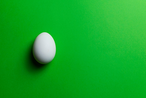 white chicken egg on green background