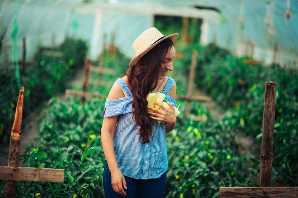 istock Female Gardener Picking Fresh Organic 1163155735