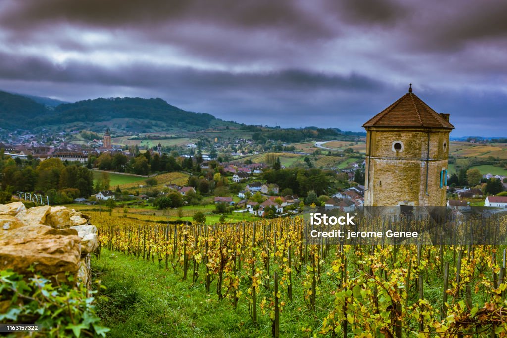 Arbois vineyard, Jura, France Arbois and its vines yellowed by autumn. Biodynamic vines. Jura - France Stock Photo