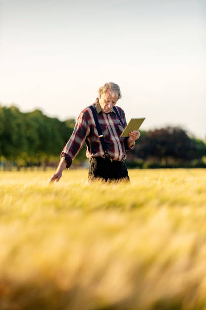 istock Farmer using technology to monitor his crops. 1163157508