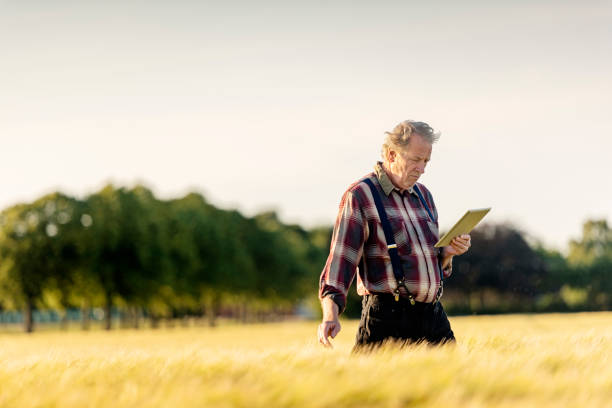 istock Farmer using technology to monitor his crops. 1163158322