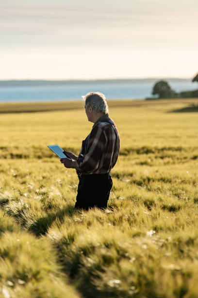 istock Farmer using technology to monitor his crops. 1163158568