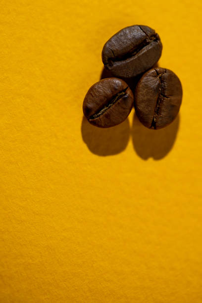 istock the pattern of coffee beans on colored background 1163159970