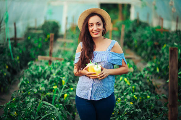 istock Female Gardener Picking Fresh Organic 1163161534