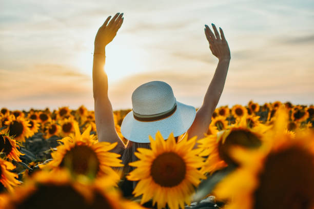 istock Woman With Hat in a Sunflower Field 1163161535