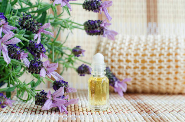 Small roll on bottle with essential lavender oil (perfume). Lavandula flowers close up. Aromatherapy, spa and herbal medicine ingredients. Copy space