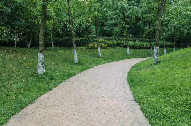 istock stone paved pathway with green lawns and tree at both sides in park 1163163077
