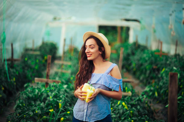 istock Female Gardener Picking Fresh Organic 1163163217