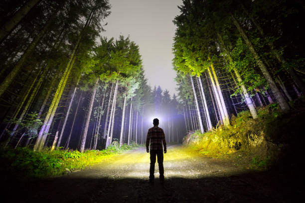 istock Back view of man with head flashlight standing on forest ground road among tall brightly illuminated spruce trees under beautiful dark blue sky. Night wood landscape and adventure. 1163165276