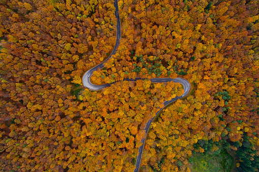 beautiful country road winding through autumn forest shot from top above  point of view drone or birdeye perspective