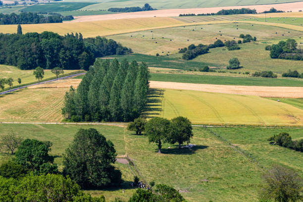 istock cereal fields in Lorraine, in eastern France 1163166132