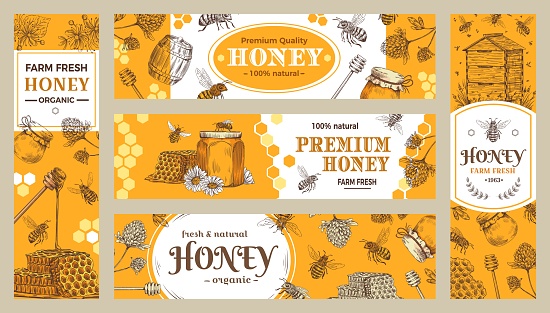 Honey banner. Healthy sweets, natural bees honey pot and bee farm products banners. Bees wax or honey jar sticker, beekeeper eco gourmet food advertisment sale label or brochure vector collection