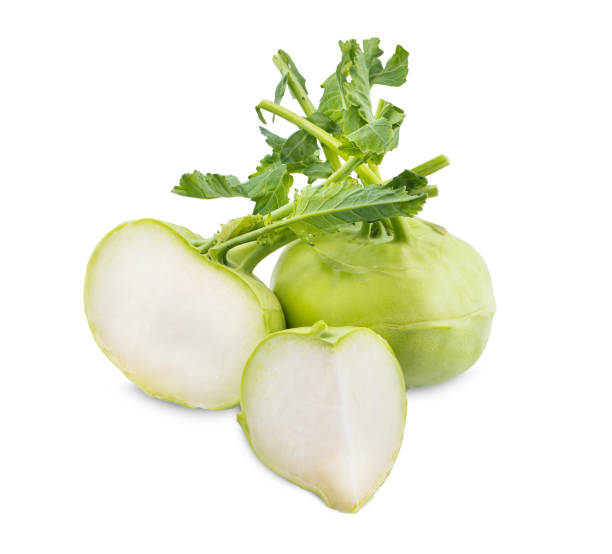 fresh kohlrabi isolated on white background - kohlrabi turnip kohlrabies cabbage imagens e fotografias de stock