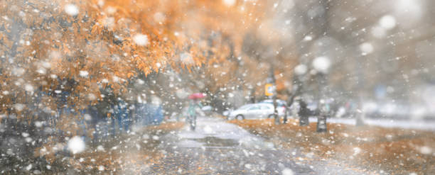 istock Background autumn park in the first snow 1163169838