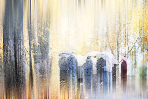 istock Background autumn rain in the park 1163170005