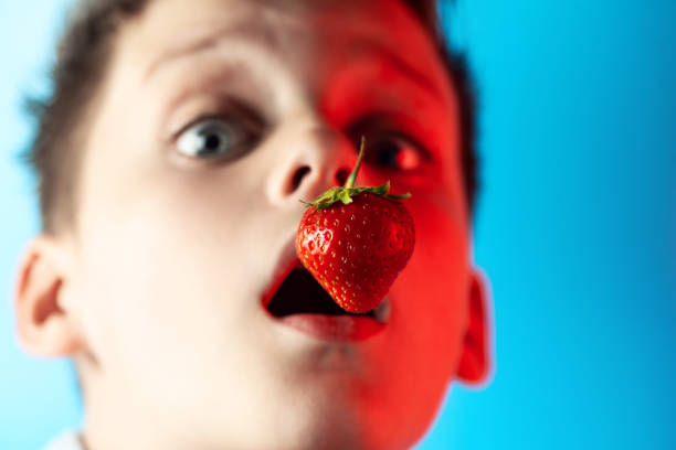 un ragazzo che morde fragole rosse su sfondo blu - 2649 foto e immagini stock
