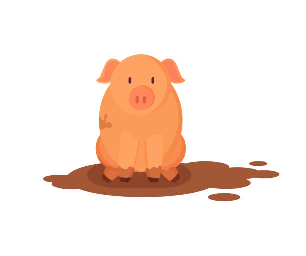 illustrazioni stock, clip art, cartoni animati e icone di tendenza di divertente maiale rosa in dirty puddle illustrazione vettoriale - haunch