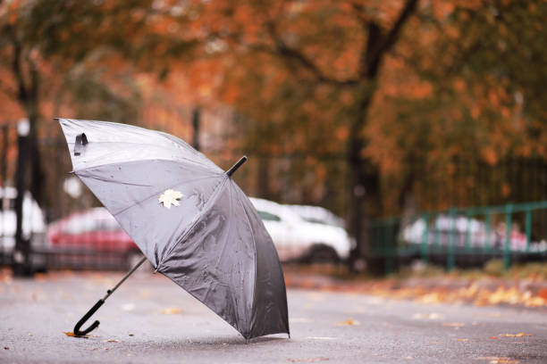 istock Autumn rainy park in October 1163172923