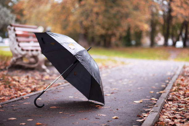 istock Autumn rainy park in October 1163172967