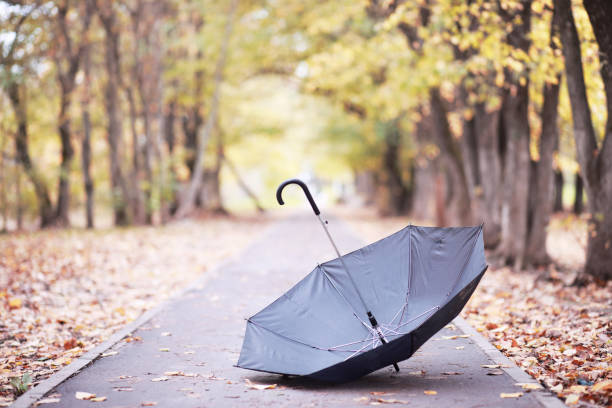 istock Autumn rainy park in October 1163172971