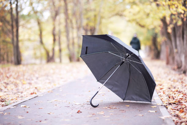 istock Autumn rainy park in October 1163173002