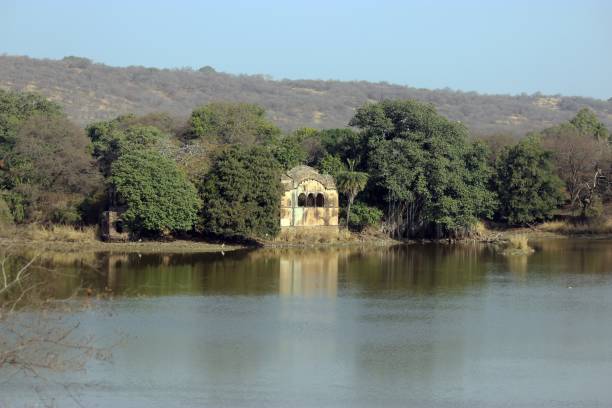 istock Raj Bagh Lake, Ranthambore National Park, India 1163174564