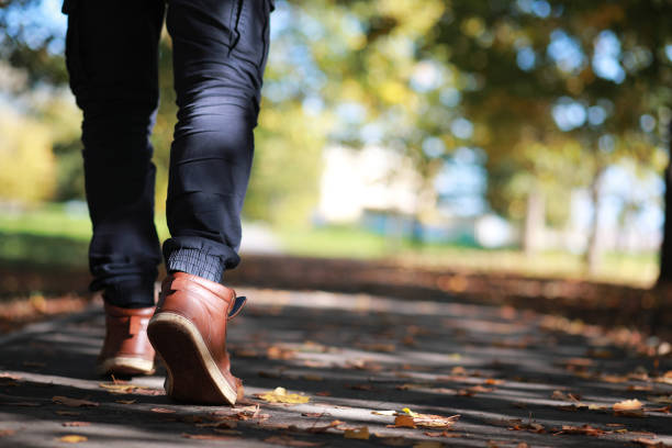istock Autumn Park man walking along a path foliage 1163174746
