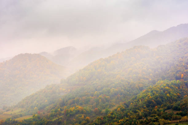 dia chuvoso do outono nas montanhas - meteorology rain fog forest - fotografias e filmes do acervo