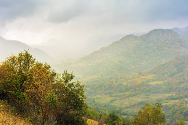 giornata piovosa autunnale in montagna - meteorology rain fog forest foto e immagini stock