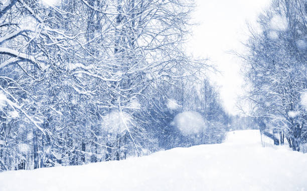 istock Landscape in the winter day 1163176322