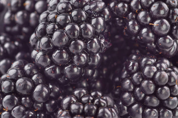 istock Background of blackberry berries 1163177595