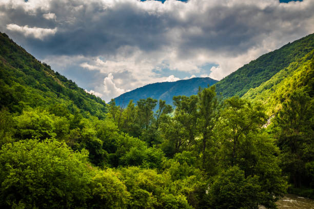 istock Mountain and forest, cloudy day with dark clouds 1163177829