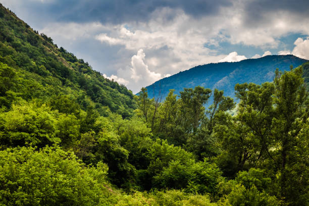 istock Mountain and forest, cloudy day with dark clouds 1163177891