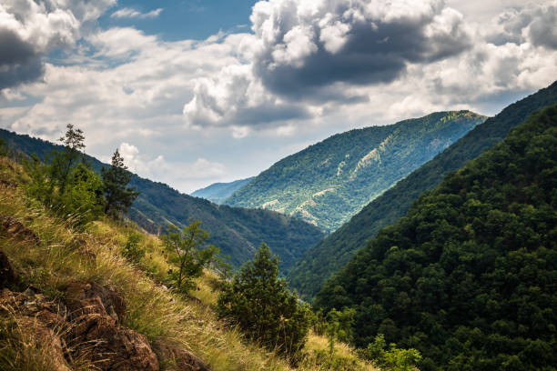 istock Mountain and forest, cloudy day with dark clouds 1163179160