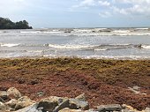 trinidad-tobago-mayaro-karibischer-meer-strand-felsen.jpg?b=1&s=170x170&k=20&c=NSg9UvSyj_5-YLFECydp6eeE23afrlviOLqhKnQkmAQ=