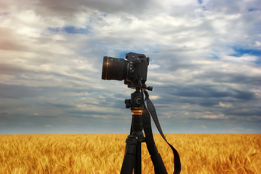 professional digital SLR camera on a large wheat field