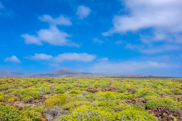 istock Lanzarote, Canary Islands - ancient lava flow 1163181193