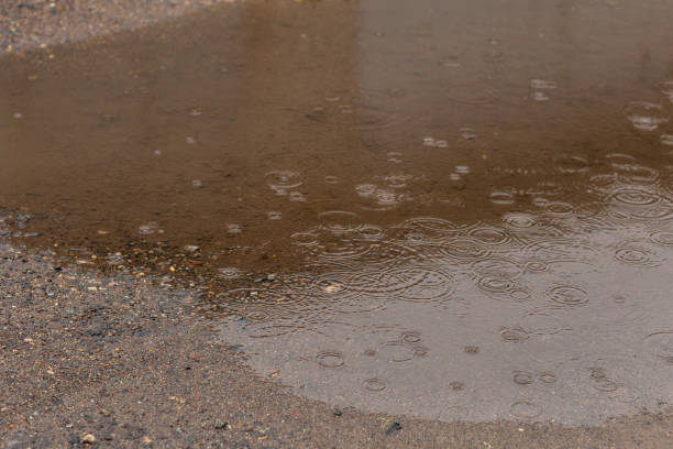 istock puddle in the rain,shot on a summer day 1163182965