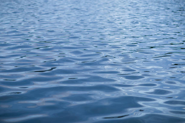 istock waves on the city pond shot on a cloudy evening 1163183122