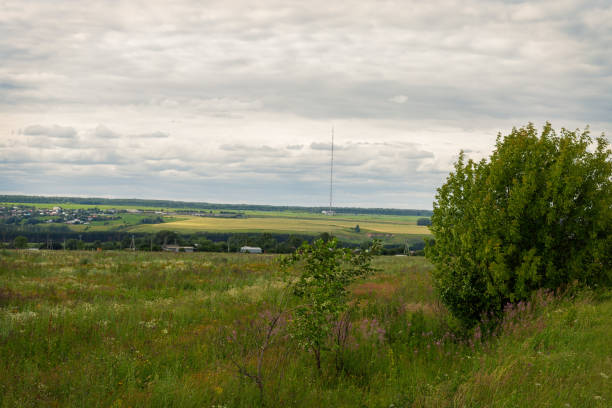 istock blooming uncultivated fields in Chuvashia,shot on a cloudy summer day 1163184977