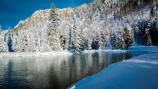 Snowy winter scene of river surrounded by pine trees