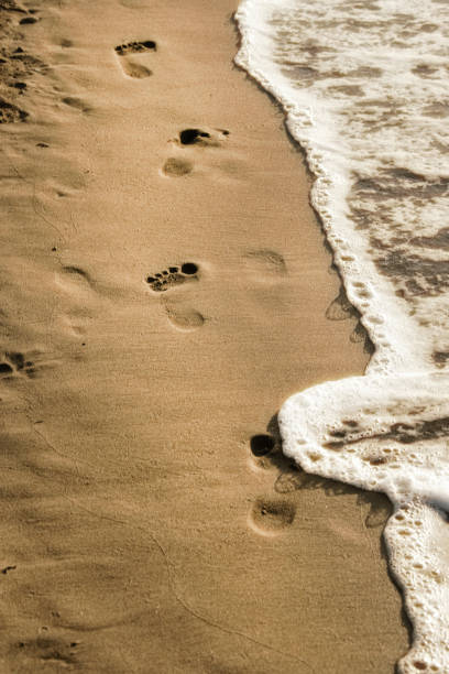 istock footprints on golden color sandy beach 1163187544