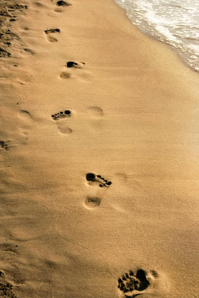 istock footprints on golden color sandy beach 1163187635