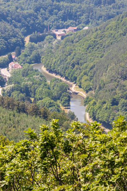 Corpo Di Barr Foto e Immagini Stock iStock